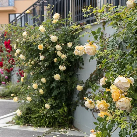 Stylish With Balcony - Bella Vita, By Flat Mаnаger Lejlighed